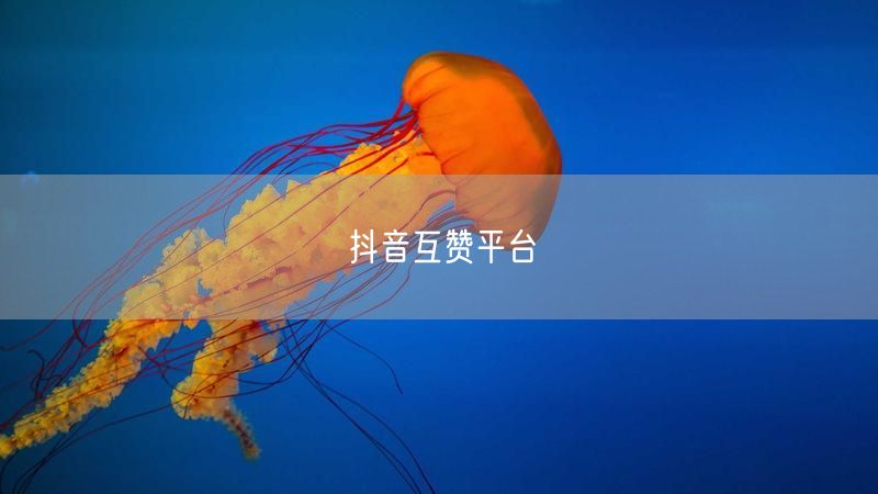 抖音互赞平台