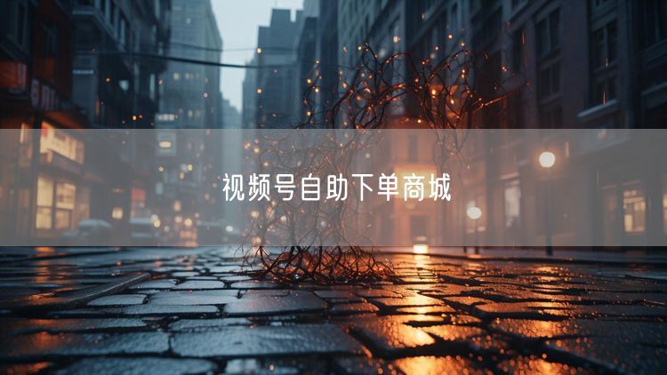 视频号自助下单商城