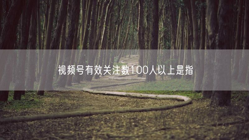 视频号有效关注数100人以上是指