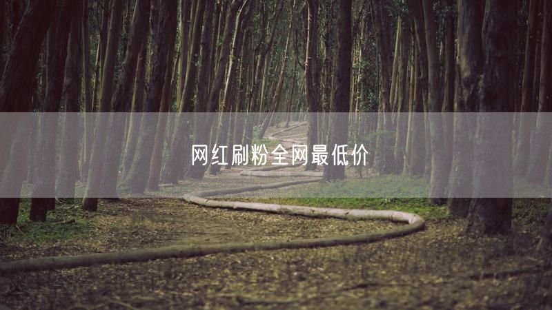 网红刷粉全网最低价