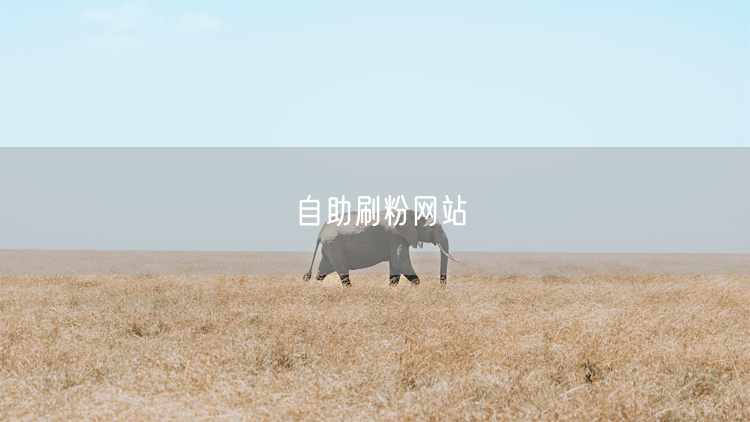 自助刷粉网站