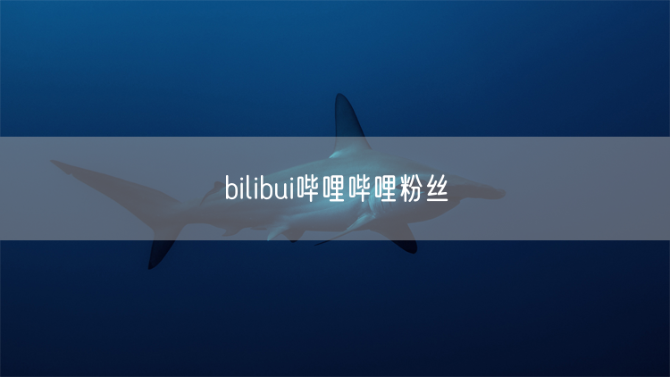 bilibui哔哩哔哩粉丝
