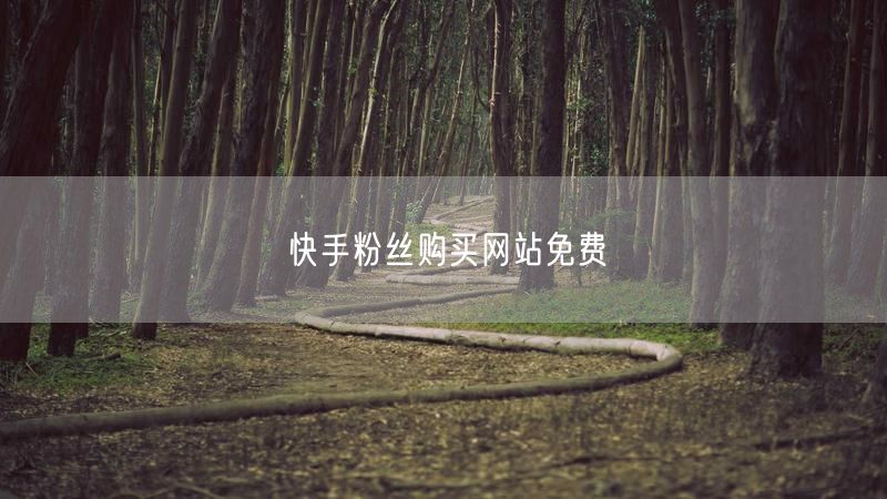 快手粉丝购买网站免费
