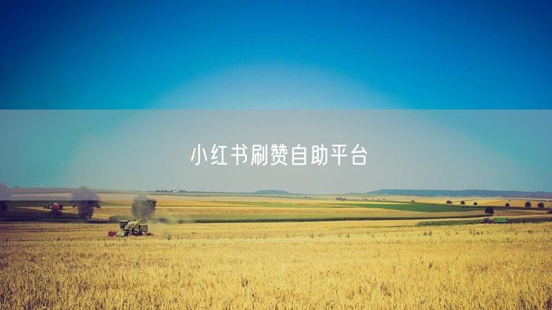 小红书刷赞自助平台
