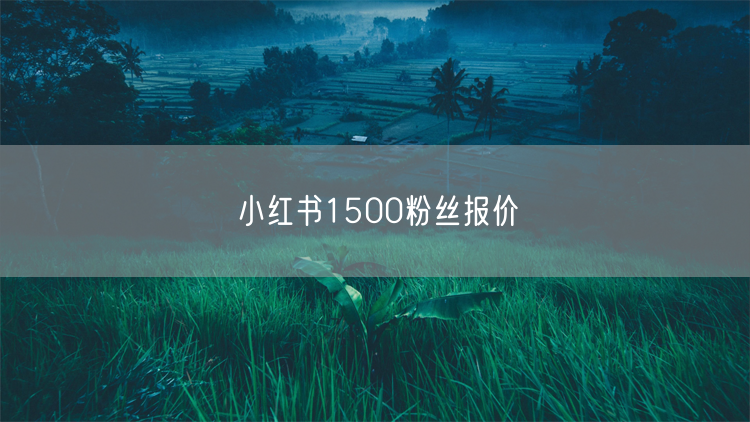 小红书1500粉丝报价