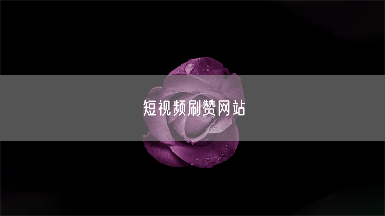 短视频刷赞网站