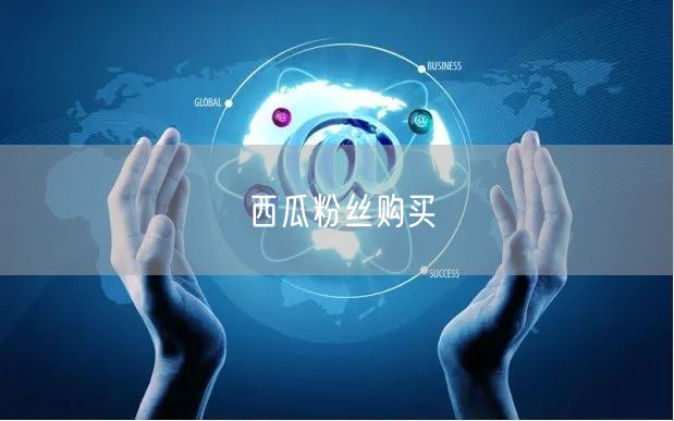 西瓜粉丝购买