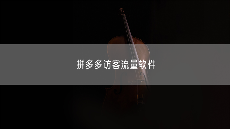 拼多多访客流量软件