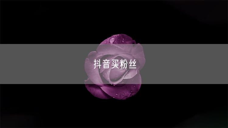 抖音买粉丝