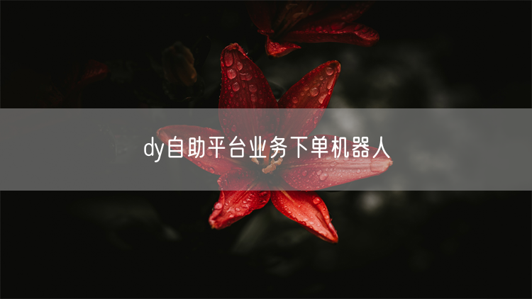 dy自助平台业务下单机器人