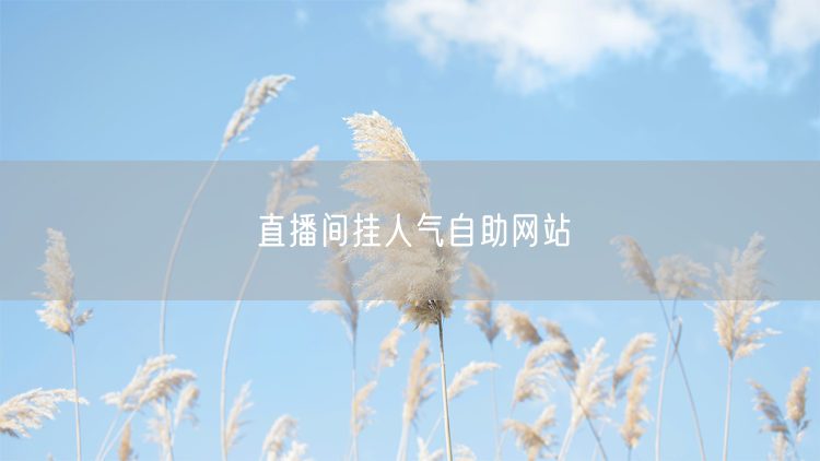 直播间挂人气自助网站