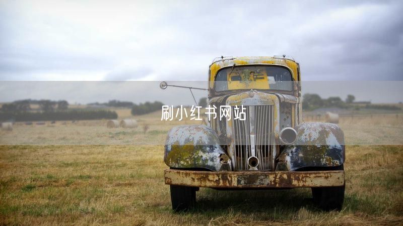 刷小红书网站
