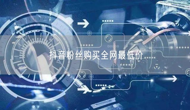 抖音粉丝购买全网最低价