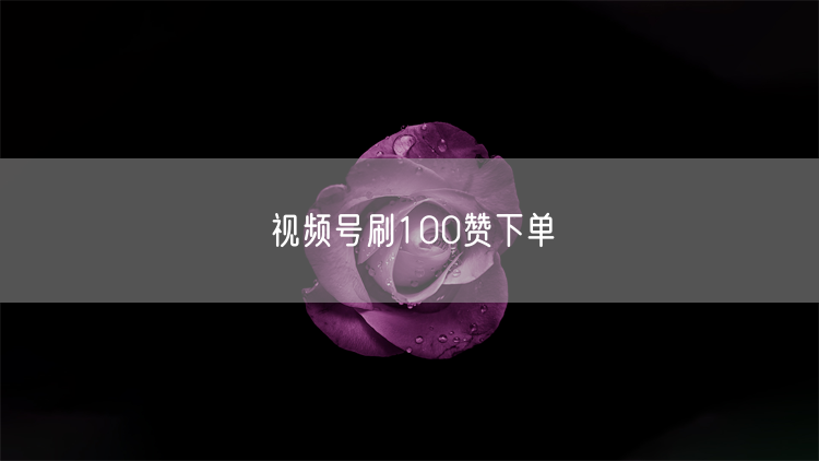 视频号刷100赞下单