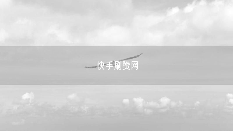 快手刷赞网
