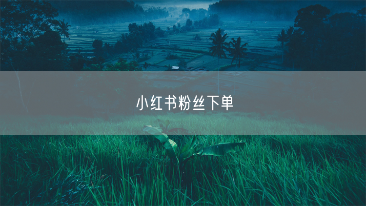 小红书粉丝下单