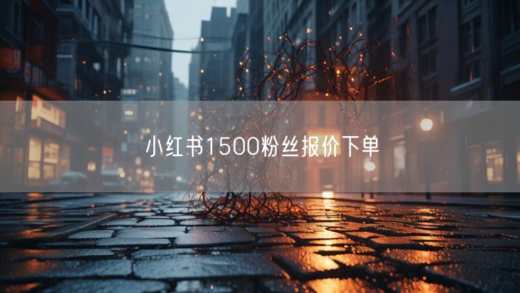 小红书1500粉丝报价下单