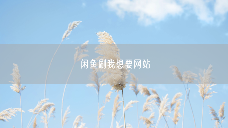 闲鱼刷我想要网站
