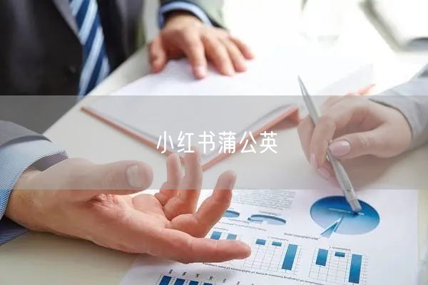小红书蒲公英