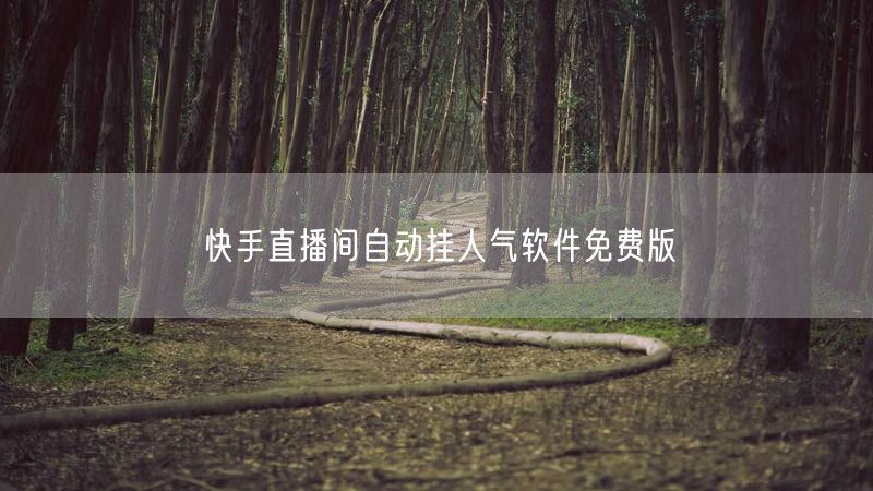 快手直播间自动挂人气软件免费版