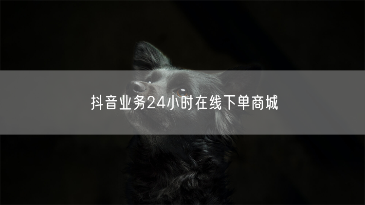 抖音业务24小时在线下单商城