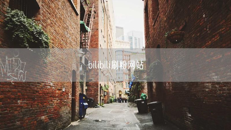 bilibili刷粉网站