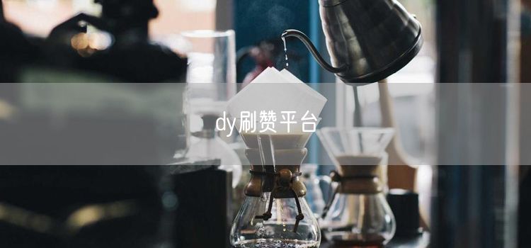 dy刷赞平台
