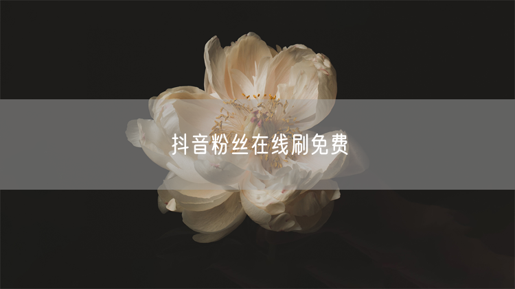抖音粉丝在线刷免费