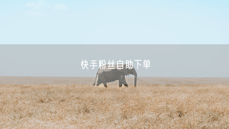 快手粉丝自助下单