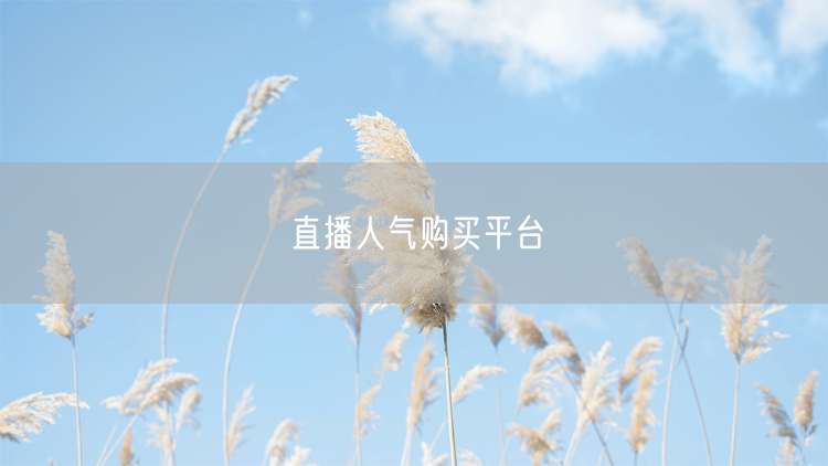 直播人气购买平台