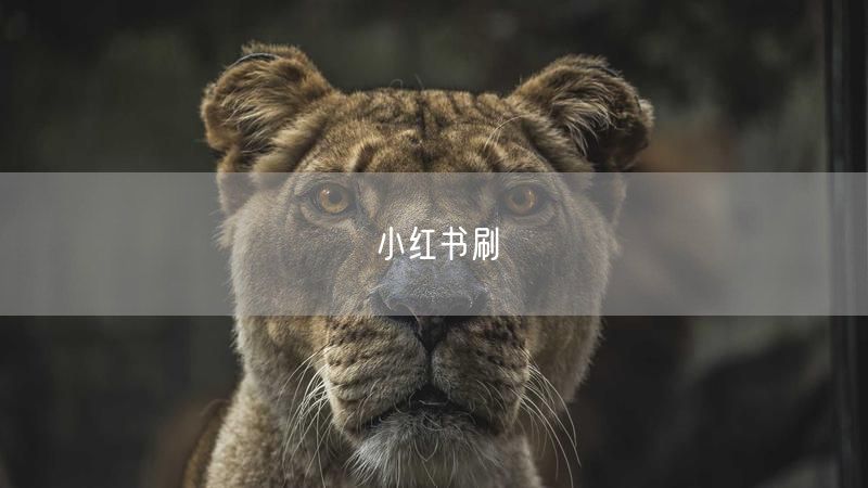 小红书刷