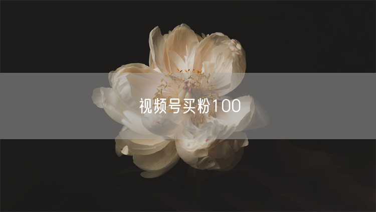 视频号买粉100
