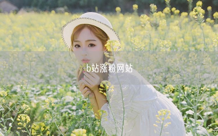 b站涨粉网站