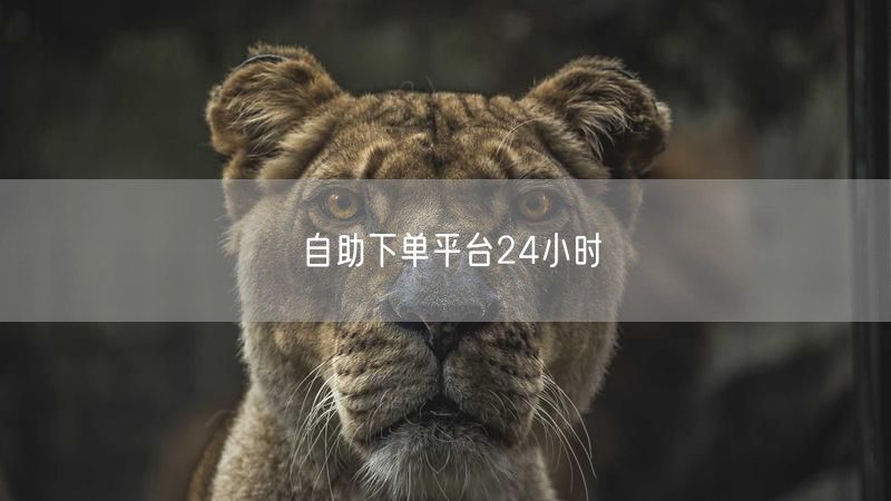 自助下单平台24小时