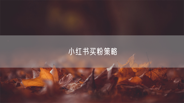 小红书买粉策略