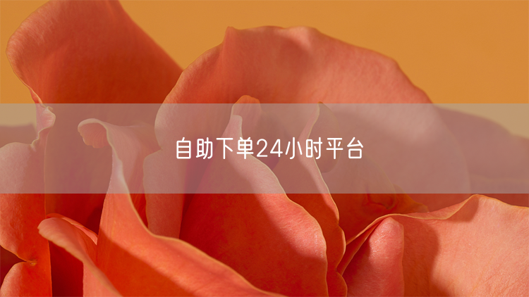 自助下单24小时平台