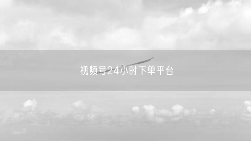 视频号24小时下单平台