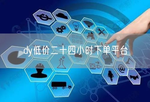 dy低价二十四小时下单平台