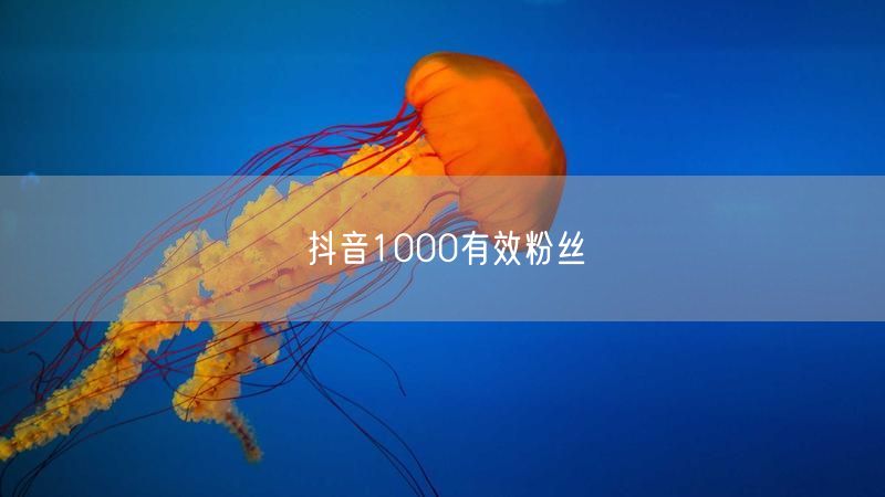 抖音1000有效粉丝