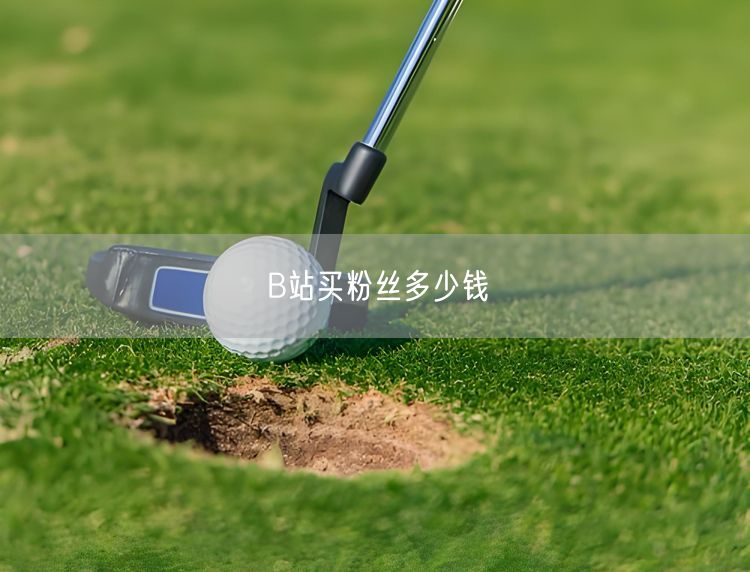 B站买粉丝多少钱