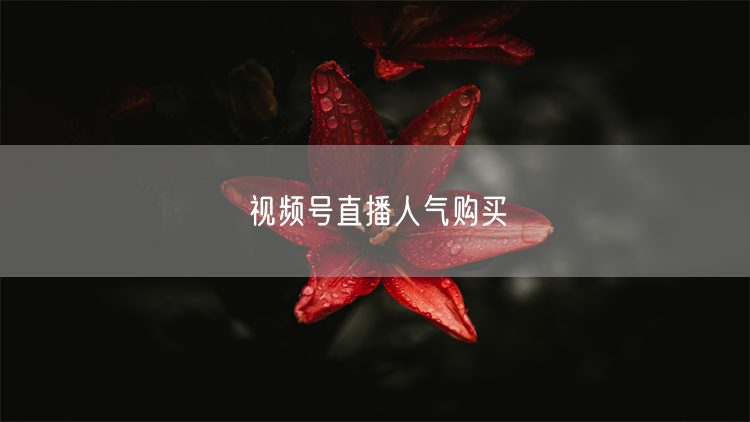 视频号直播人气购买