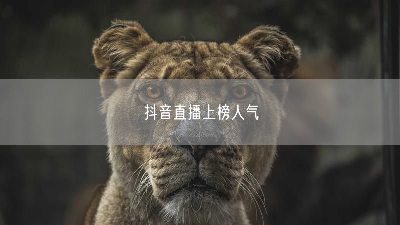 抖音直播上榜人气