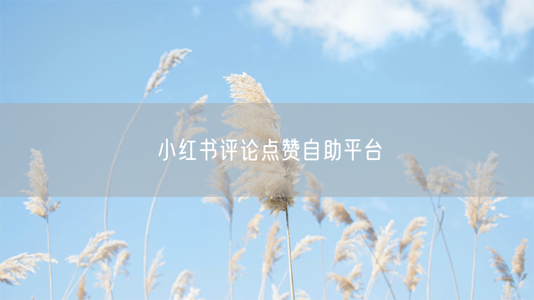 小红书评论点赞自助平台