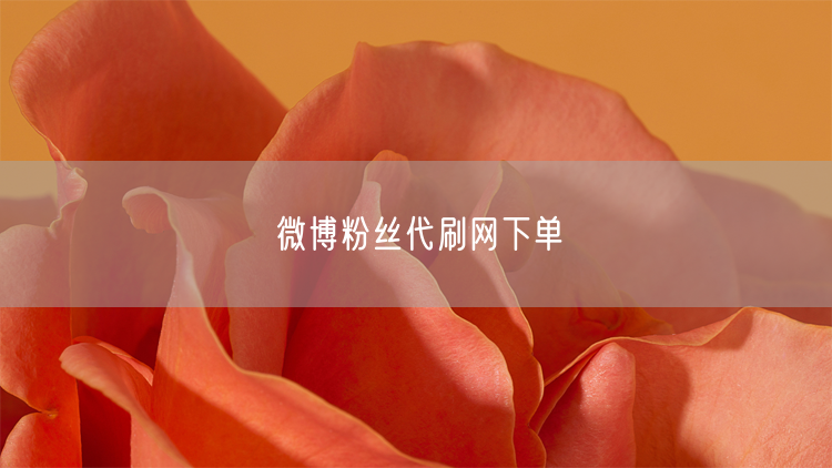 微博粉丝代刷网下单
