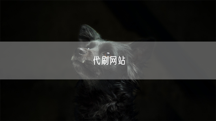 代刷网站