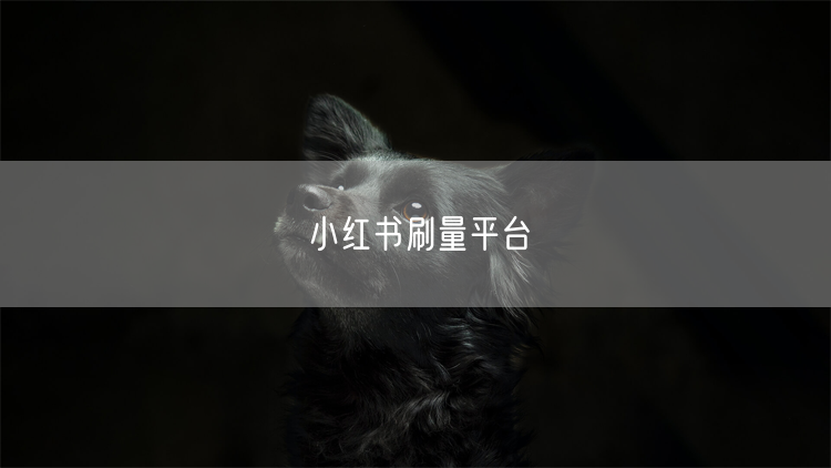 小红书刷量平台
