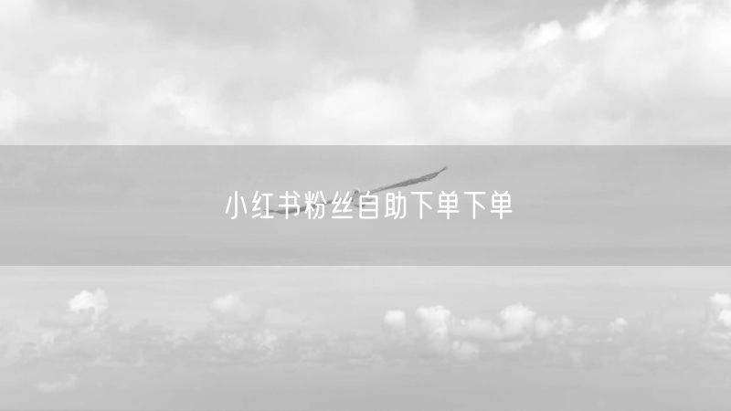 小红书粉丝自助下单下单