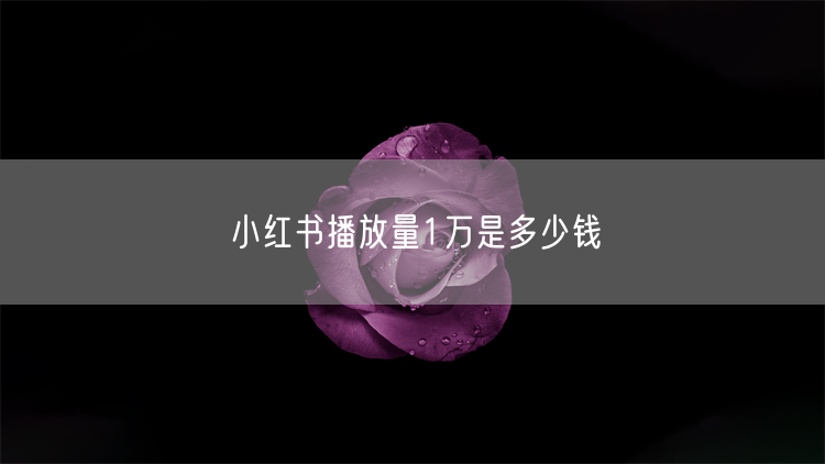 小红书播放量1万是多少钱
