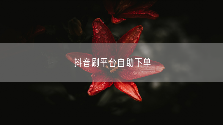 抖音刷平台自助下单