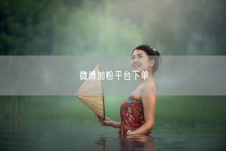 微博加粉平台下单